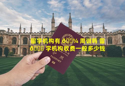 留学机构有 🌼 周训吗 留 🐝 学机构收费一般多少钱
